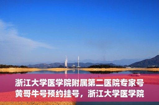浙江大学医学院附属第二医院专家号黄哥牛号预约挂号，浙江大学医学院附属第二医院专家黄哥牛号预约挂号攻略