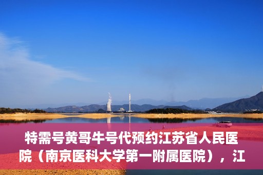 特需号黄哥牛号代预约江苏省人民医院（南京医科大学第一附属医院），江苏省人民医院特需号黄哥牛号代预约服务启动