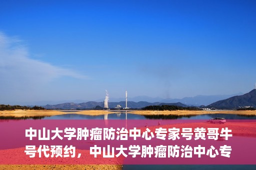 中山大学肿瘤防治中心专家号黄哥牛号代预约，中山大学肿瘤防治中心专家号预约服务解析，黄哥牛号代预约详解