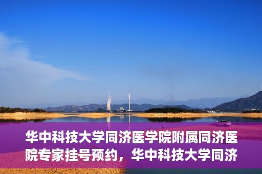 华中科技大学同济医学院附属同济医院专家挂号预约，华中科技大学同济医院专家挂号预约指南