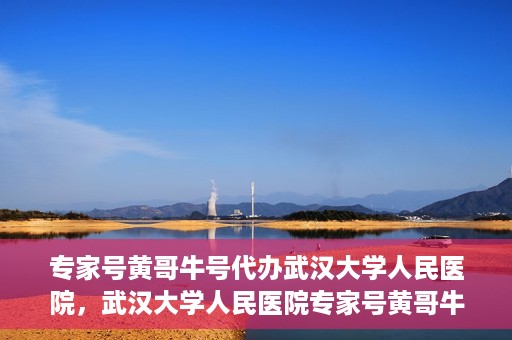 专家号黄哥牛号代办武汉大学人民医院，武汉大学人民医院专家号黄哥牛号代办服务揭秘