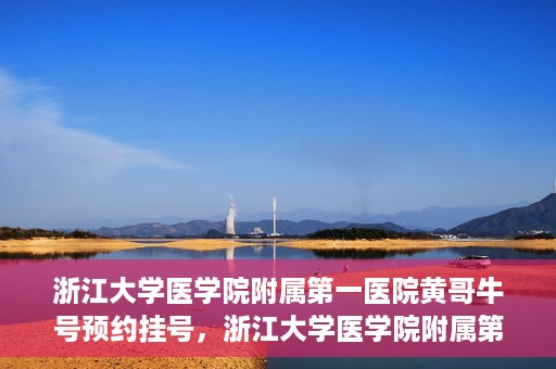 浙江大学医学院附属第一医院黄哥牛号预约挂号，浙江大学医学院附属第一医院黄哥牛号预约挂号攻略详解