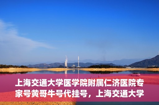 上海交通大学医学院附属仁济医院专家号黄哥牛号代挂号，上海交通大学医学院附属仁济医院专家号代挂号服务解析——黄哥牛号挂号攻略