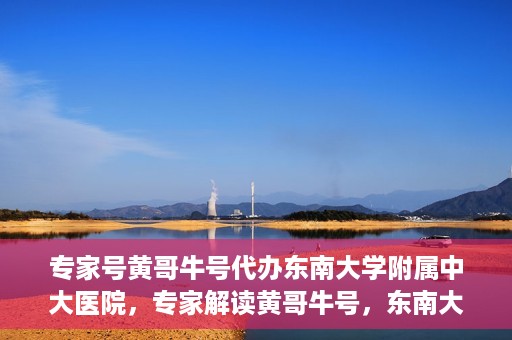 专家号黄哥牛号代办东南大学附属中大医院，专家解读黄哥牛号，东南大学附属中大医院代办服务详解