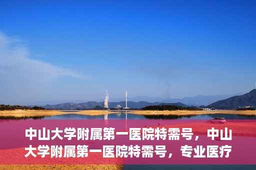 中山大学附属第一医院特需号，中山大学附属第一医院特需号，专业医疗服务的卓越标杆
