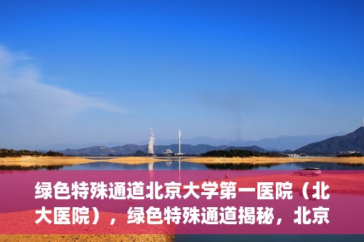 绿色特殊通道北京大学第一医院（北大医院），绿色特殊通道揭秘，北京大学第一医院（北大医院）的医学探索之旅