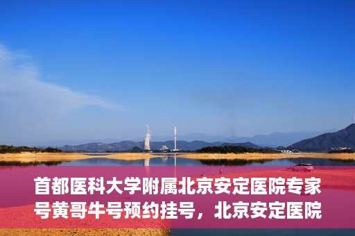 首都医科大学附属北京安定医院专家号黄哥牛号预约挂号，北京安定医院专家黄哥牛号预约挂号攻略
