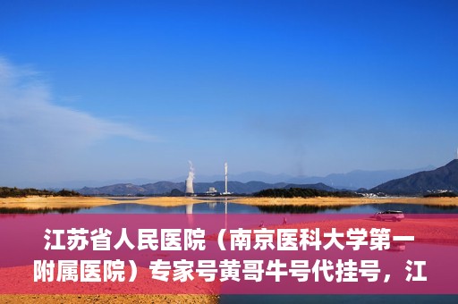 江苏省人民医院（南京医科大学第一附属医院）专家号黄哥牛号代挂号，江苏省人民医院专家号代挂号服务解析，黄哥牛号预约攻略