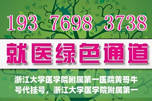 浙江大学医学院附属第一医院黄哥牛号代挂号，浙江大学医学院附属第一医院黄哥牛号代挂号服务解析