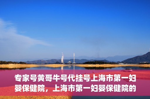 专家号黄哥牛号代挂号上海市第一妇婴保健院，上海市第一妇婴保健院的专家号代挂号服务解析，黄哥牛号引领医疗挂号新风尚