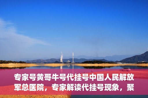 专家号黄哥牛号代挂号中国人民解放军总医院，专家解读代挂号现象，聚焦中国人民解放军总医院黄哥牛号事件