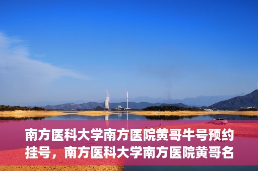南方医科大学南方医院黄哥牛号预约挂号，南方医科大学南方医院黄哥名医牛号预约挂号攻略