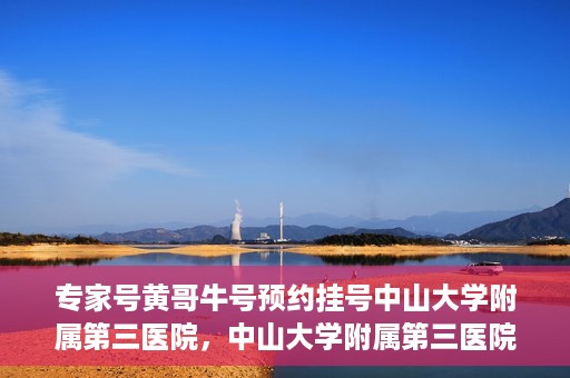 专家号黄哥牛号预约挂号中山大学附属第三医院，中山大学附属第三医院专家号黄哥牛号预约挂号攻略