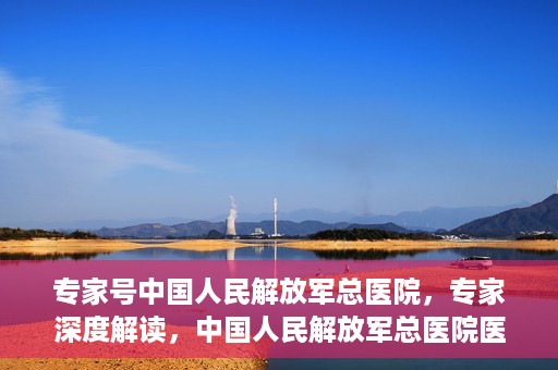 专家号中国人民解放军总医院，专家深度解读，中国人民解放军总医院医疗力量与前沿技术解析