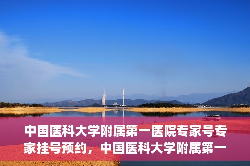中国医科大学附属第一医院专家号专家挂号预约，中国医科大学附属第一医院专家挂号预约攻略，专业医师团队在线预约指导
