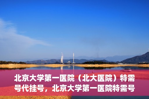 北京大学第一医院（北大医院）特需号代挂号，北京大学第一医院特需号挂号服务解析