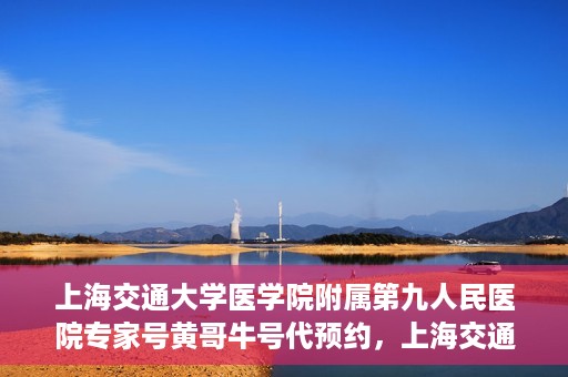 上海交通大学医学院附属第九人民医院专家号黄哥牛号代预约，上海交通大学医学院附属第九人民医院专家号预约服务解析，黄哥牛号预约指南
