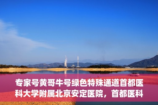 专家号黄哥牛号绿色特殊通道首都医科大学附属北京安定医院，首都医科大学附属北京安定医院专家号黄哥牛绿色通道揭秘