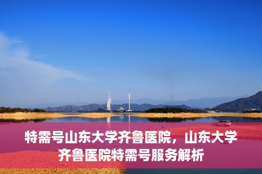 特需号山东大学齐鲁医院，山东大学齐鲁医院特需号服务解析