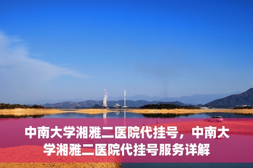 中南大学湘雅二医院代挂号，中南大学湘雅二医院代挂号服务详解