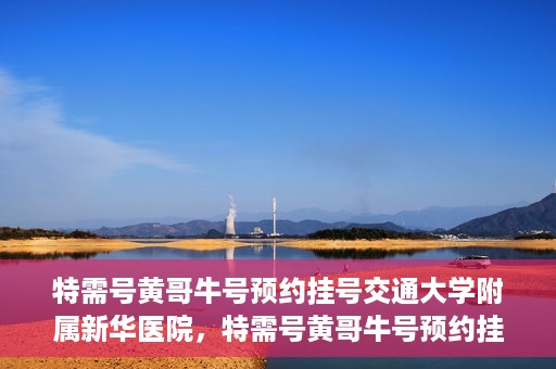 特需号黄哥牛号预约挂号交通大学附属新华医院，特需号黄哥牛号预约挂号攻略，交通大学附属新华医院指南