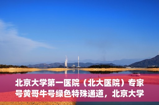 北京大学第一医院（北大医院）专家号黄哥牛号绿色特殊通道，北京大学第一医院专家号黄哥牛号绿色就医特殊通道解析