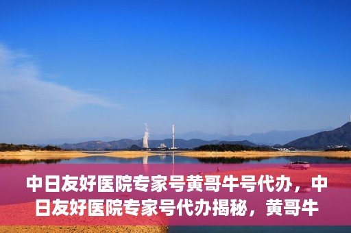 中日友好医院专家号黄哥牛号代办，中日友好医院专家号代办揭秘，黄哥牛号助您轻松预约专家资源