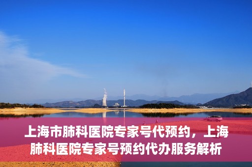上海市肺科医院专家号代预约，上海肺科医院专家号预约代办服务解析