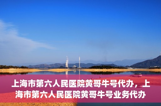 上海市第六人民医院黄哥牛号代办，上海市第六人民医院黄哥牛号业务代办攻略