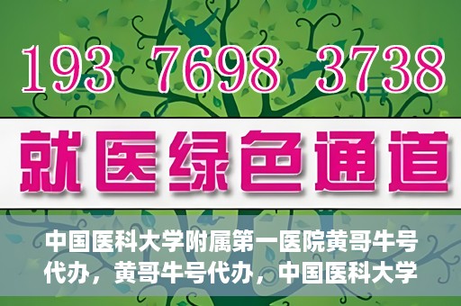 中国医科大学附属第一医院黄哥牛号代办，黄哥牛号代办，中国医科大学附属第一医院挂号服务新动向