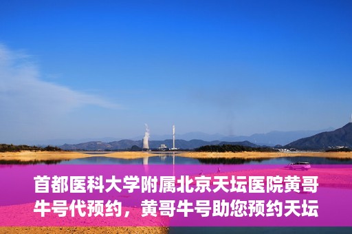 首都医科大学附属北京天坛医院黄哥牛号代预约，黄哥牛号助您预约天坛医院——权威医疗预约服务体验