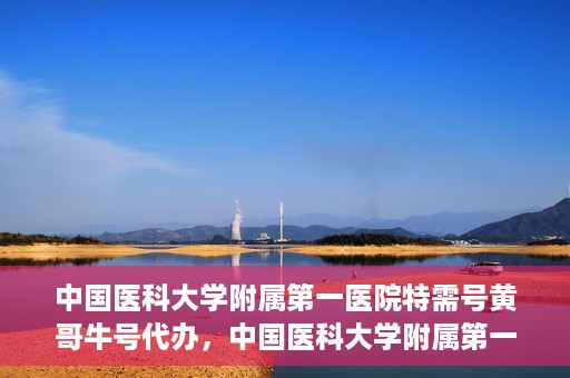 中国医科大学附属第一医院特需号黄哥牛号代办，中国医科大学附属第一医院特需号‘黄哥牛号’代办服务详解