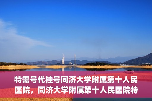特需号代挂号同济大学附属第十人民医院，同济大学附属第十人民医院特需号代挂号服务解析
