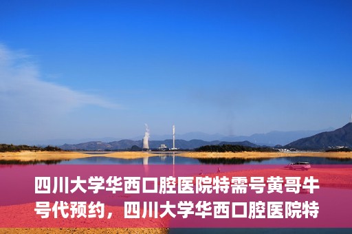 四川大学华西口腔医院特需号黄哥牛号代预约，四川大学华西口腔医院特需号专家预约服务解析，黄哥牛号代预约详解