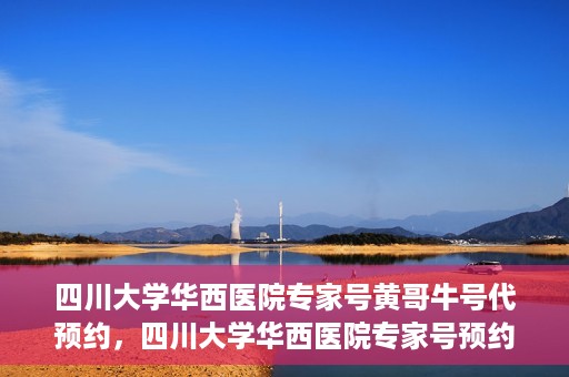 四川大学华西医院专家号黄哥牛号代预约，四川大学华西医院专家号预约服务，黄哥牛号预约渠道解析
