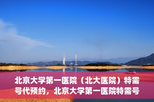 北京大学第一医院（北大医院）特需号代预约，北京大学第一医院特需号预约服务详解