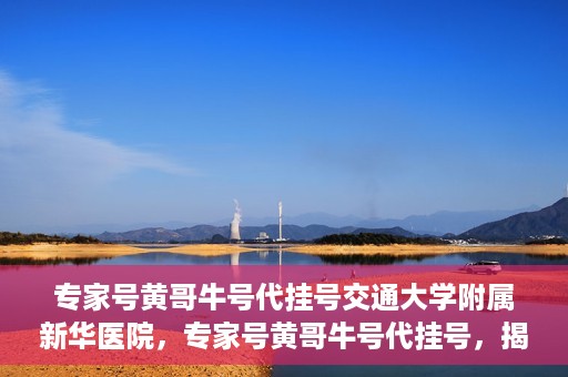 专家号黄哥牛号代挂号交通大学附属新华医院，专家号黄哥牛号代挂号，揭秘上海交通大学附属新华医院的挂号秘籍