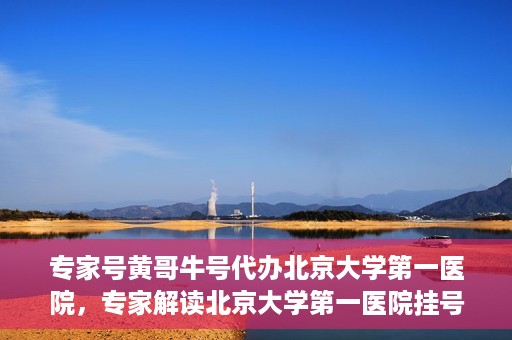 专家号黄哥牛号代办北京大学第一医院，专家解读北京大学第一医院挂号代办服务——黄哥牛号助您轻松就医！