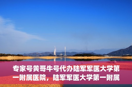 专家号黄哥牛号代办陆军军医大学第一附属医院，陆军军医大学第一附属医院专家号黄哥牛号代办服务解析