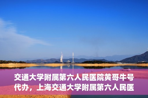 交通大学附属第六人民医院黄哥牛号代办，上海交通大学附属第六人民医院黄哥牛号代办服务解析