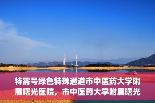 特需号绿色特殊通道市中医药大学附属曙光医院，市中医药大学附属曙光医院特需号绿色特殊通道，医疗服务的创新与升级