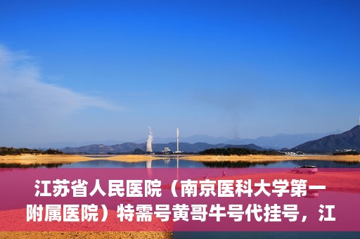 江苏省人民医院（南京医科大学第一附属医院）特需号黄哥牛号代挂号，江苏省人民医院特需号黄哥牛号代挂号服务解析