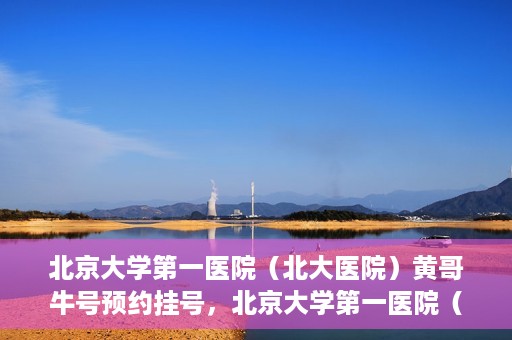 北京大学第一医院（北大医院）黄哥牛号预约挂号，北京大学第一医院（北大医院）黄哥牛号，预约挂号攻略