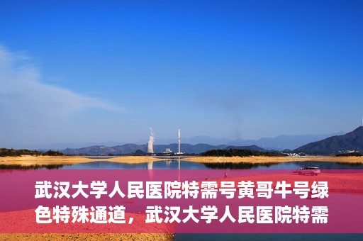武汉大学人民医院特需号黄哥牛号绿色特殊通道，武汉大学人民医院特需号黄哥牛号，绿色就医特殊通道揭秘