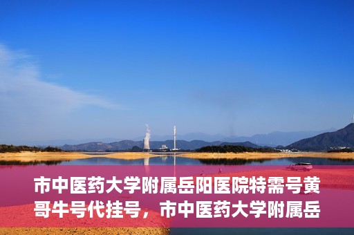 市中医药大学附属岳阳医院特需号黄哥牛号代挂号，市中医药大学附属岳阳医院黄哥牛号特需号挂号攻略