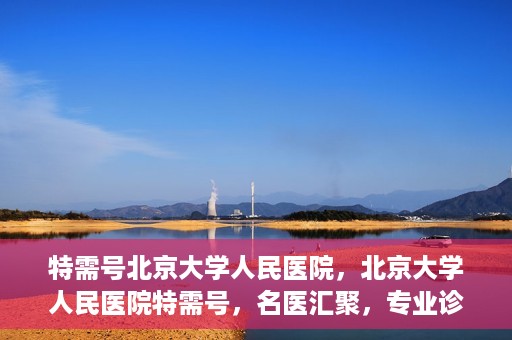 特需号北京大学人民医院，北京大学人民医院特需号，名医汇聚，专业诊疗新体验