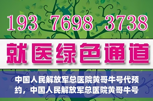 中国人民解放军总医院黄哥牛号代预约，中国人民解放军总医院黄哥牛号预约服务解析