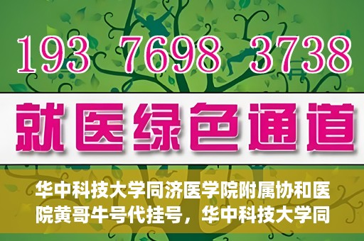 华中科技大学同济医学院附属协和医院黄哥牛号代挂号，华中科技大学同济医学院附属协和医院黄哥牛号代挂号服务详解