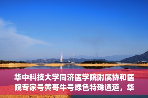 华中科技大学同济医学院附属协和医院专家号黄哥牛号绿色特殊通道，华中科技大学同济医学院附属协和医院专家号黄哥牛号，绿色特殊通道揭秘