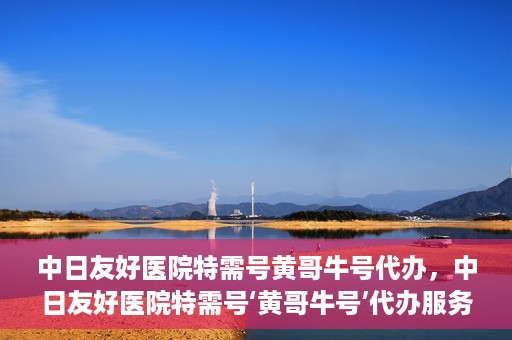 中日友好医院特需号黄哥牛号代办，中日友好医院特需号‘黄哥牛号’代办服务解析